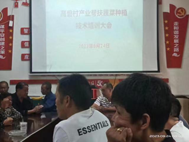 图片6