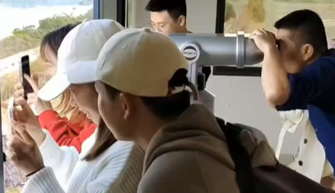 微信图片_20250321113534