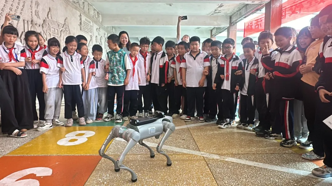 图片2