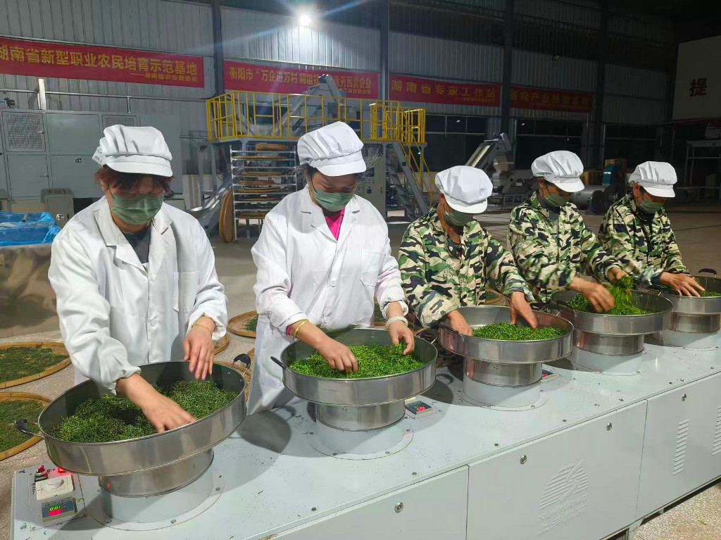 微信图片_20251103092044