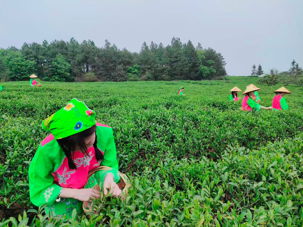 微信图片_20251103092032