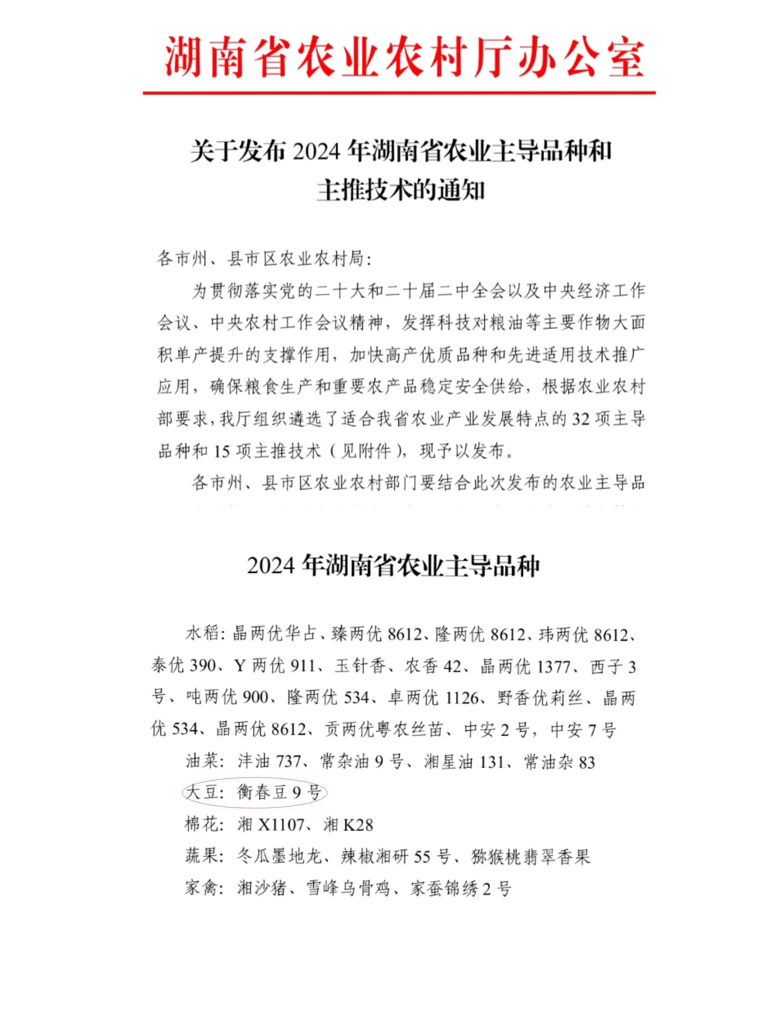 衡春豆9号当选2024年湖南省唯一主导大豆品种